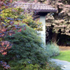 Davide Bertani - allestimento giardino villa privata Gallarate 09